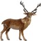 Decorative Christmas Deer 168x60x162(h)cm 67522646-1