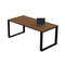 Wooden Table 160x90x75cm Alfa Set Plesio