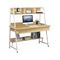 PC Metal Desk 2 Drawers/ 2 Shelves 120x48x73/137cm White/ Sonoma ZWW