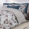 Single Sized Sheet Set 170x260 Greenwich Polo Club Essential-Bedroom Collection 2113 Blue-Red-Gray Cotton