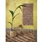 Carpet 120x180cm Cotton/ Polyester Nima Home Besida/ Mustard Beige 27335