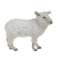 Διακοσμητικό Πρόβατο Ύφασμα/ Polyfoam Λευκό 36x17x30cm Inart 1-70-530-0021