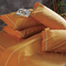 Bed Sheet 220x240 SB Home Harmony Collection Haley 100% Cotton144 TC /Gold