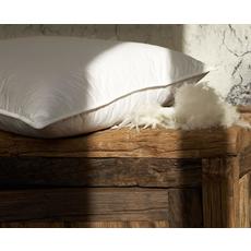 Product partial candia pillow naturalcollection productpage feather and down 01