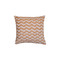 Pair of Decorative Pillowcases 42x42cm Jacquard Chenille Anna Riska 1447 - Gold