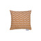 Pair of Decorative Pillowcases 42x42cm Jacquard Chenille Anna Riska 1447 - Gold