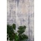 Χαλί Καλοκαιρινό 155x230cm Royal Carpet Nubia 92 W