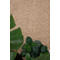Χαλί Ψάθα 160x230cm Royal Carpet Eco 3584 8 Natural