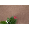 Χαλί Ψάθα 130x190cm Royal Carpet Elise 3652 02 Brown