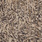 Διακοσμητική Μαξιλαροθήκη με Ραφή Γκανς 30x50cm Σενίλ/ Ζακάρ Aslanis Home Parnassos Μπεζ/ Σοκολά 685289